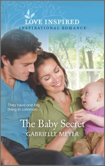 Cover of The Baby Secret