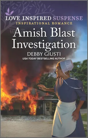 Cover of Amish Blast Investigation