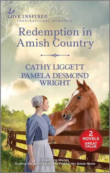 Cover of Redemption in Amish Country