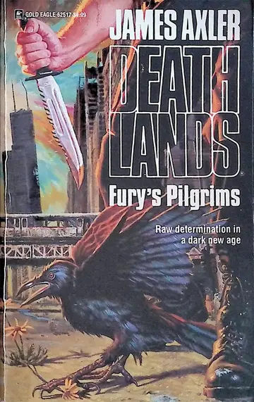 Cover of Fury's Pilgrims