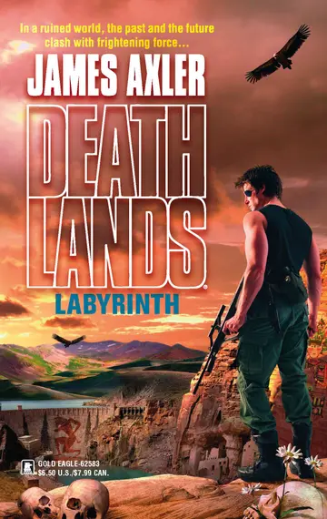 Cover of Labyrinth