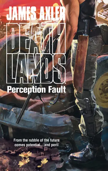Cover of Perception Fault