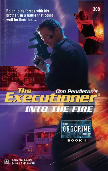 Cover of Into the Fire