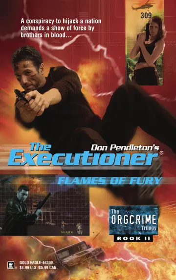 Cover of Flames of Fury