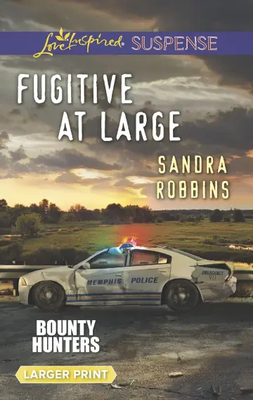 Cover of Fugitive at Large