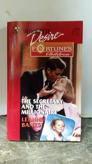 Cover of The Secretary and the Millionaire