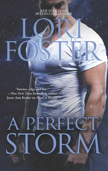 Cover of A Perfect Storm