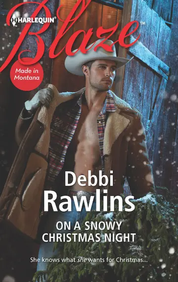 Cover of On a Snowy Christmas Night