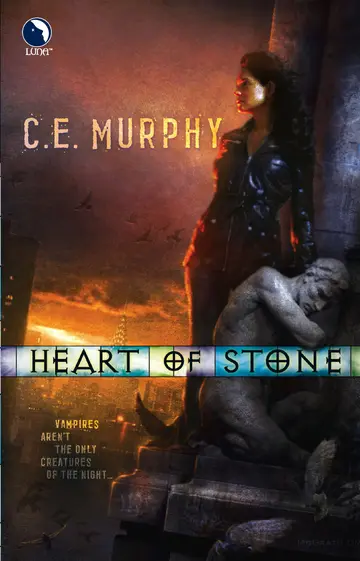 Cover of Heart of Stone