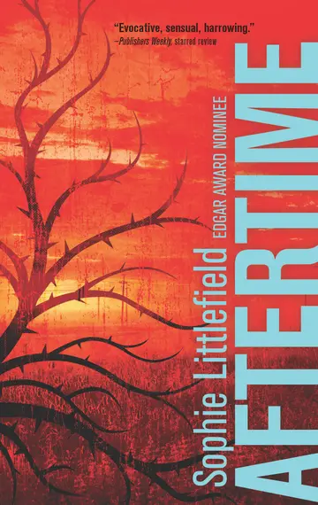 Cover of Aftertime