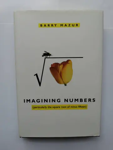 Cover of Imagining Numbers