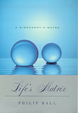Cover of Life's Matrix
