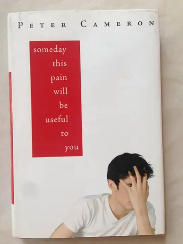 Cover of Someday This Pain Will Be Useful to You