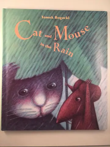 Cover of Cat and Mouse in the Rain