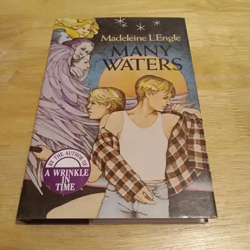 Cover of Many Waters