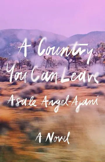 Cover of A Country You Can Leave