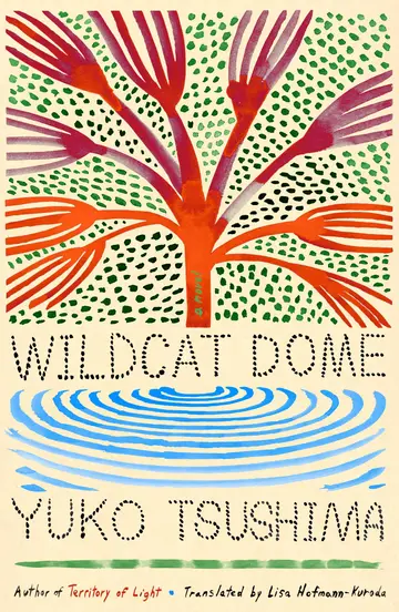 Cover of Wildcat Dome
