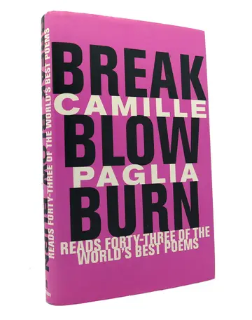 Cover of Break, Blow, Burn