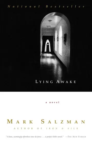Cover of Lying Awake