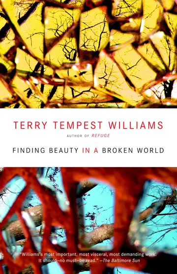 Cover of Finding Beauty in a Broken World