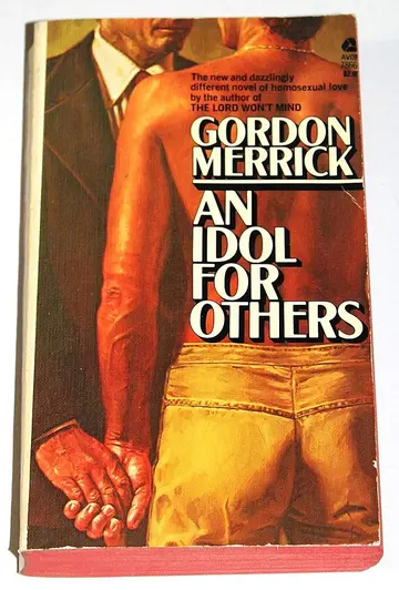 Cover of An Idol for Others