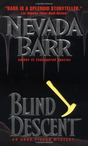 Cover of Blind Descent