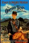 Cover of A Dangerous Promise