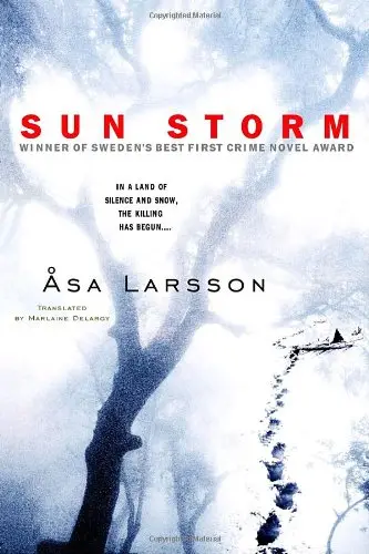 Cover of Sun Storm