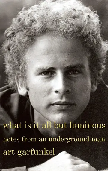 Cover of What Is It All but Luminous