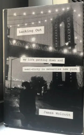 Cover of Lucking Out