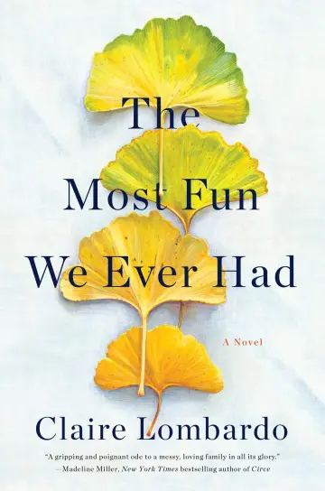 Cover of Most Fun We Ever Had