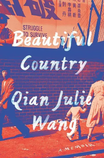 Cover of Beautiful Country