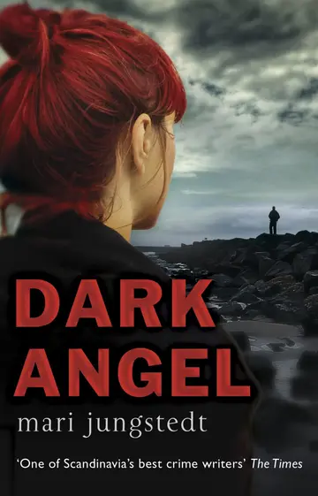 Cover of Dark Angel