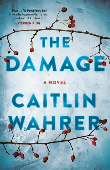 Cover of The Damage