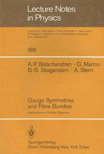 Cover of Gauge Symmetries and Fibre Bundles