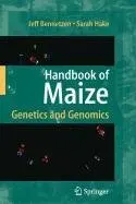 Cover of Lie Semigroups and Their Applications