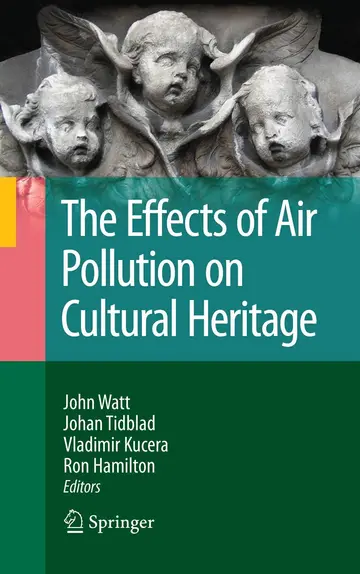 Cover of The Effects of Air Pollution on Cultural Heritage
