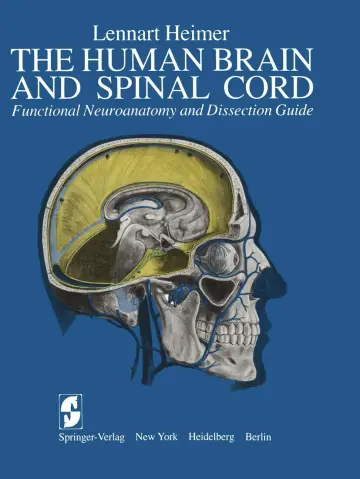 Cover of The Human Brain and Spinal Cord