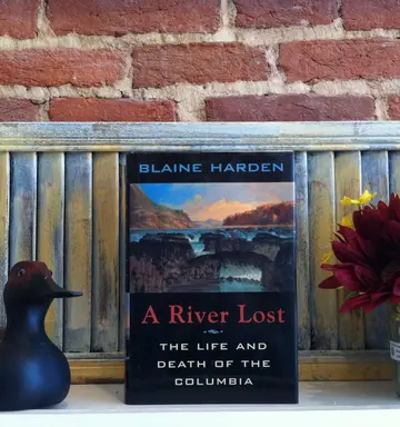 Cover of A River Lost