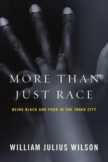 Cover of More Than Just Race – Being Black and Poor in the Inner City