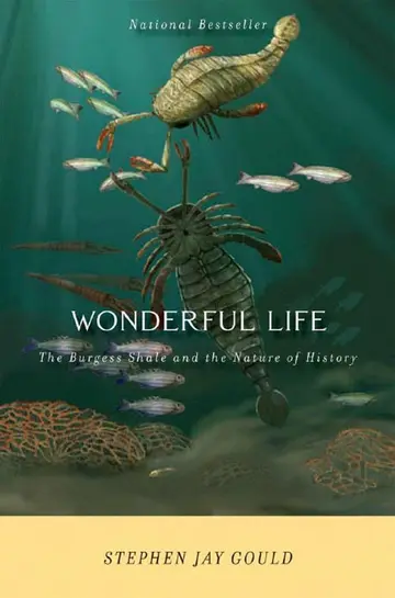 Cover of Wonderful Life