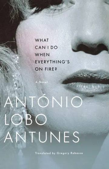 Cover of What Can I Do When Everything's on Fire?