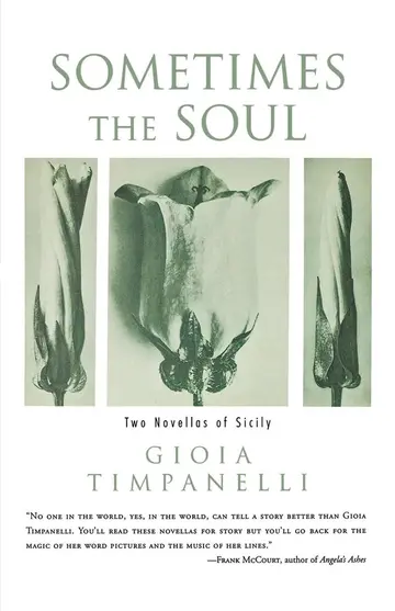 Cover of Sometimes the Soul