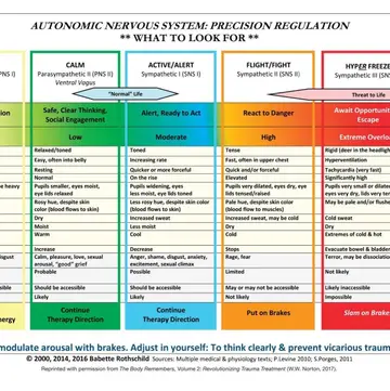 Cover of Autonomic Nervous System Table