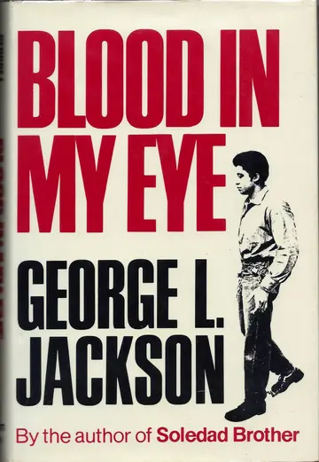 Cover of Blood in My Eye