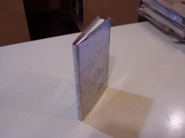Cover of The Shawl