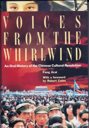 Cover of Voices from the Whirlwind