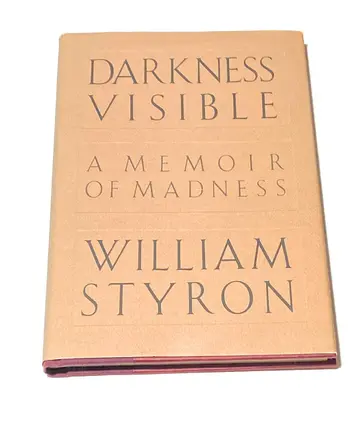 Cover of Darkness Visible