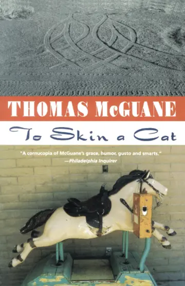 Cover of To Skin a Cat