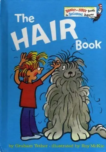 Cover of The Hair Book